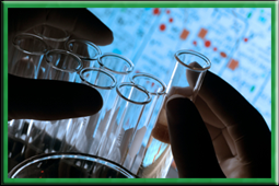 researchphoto